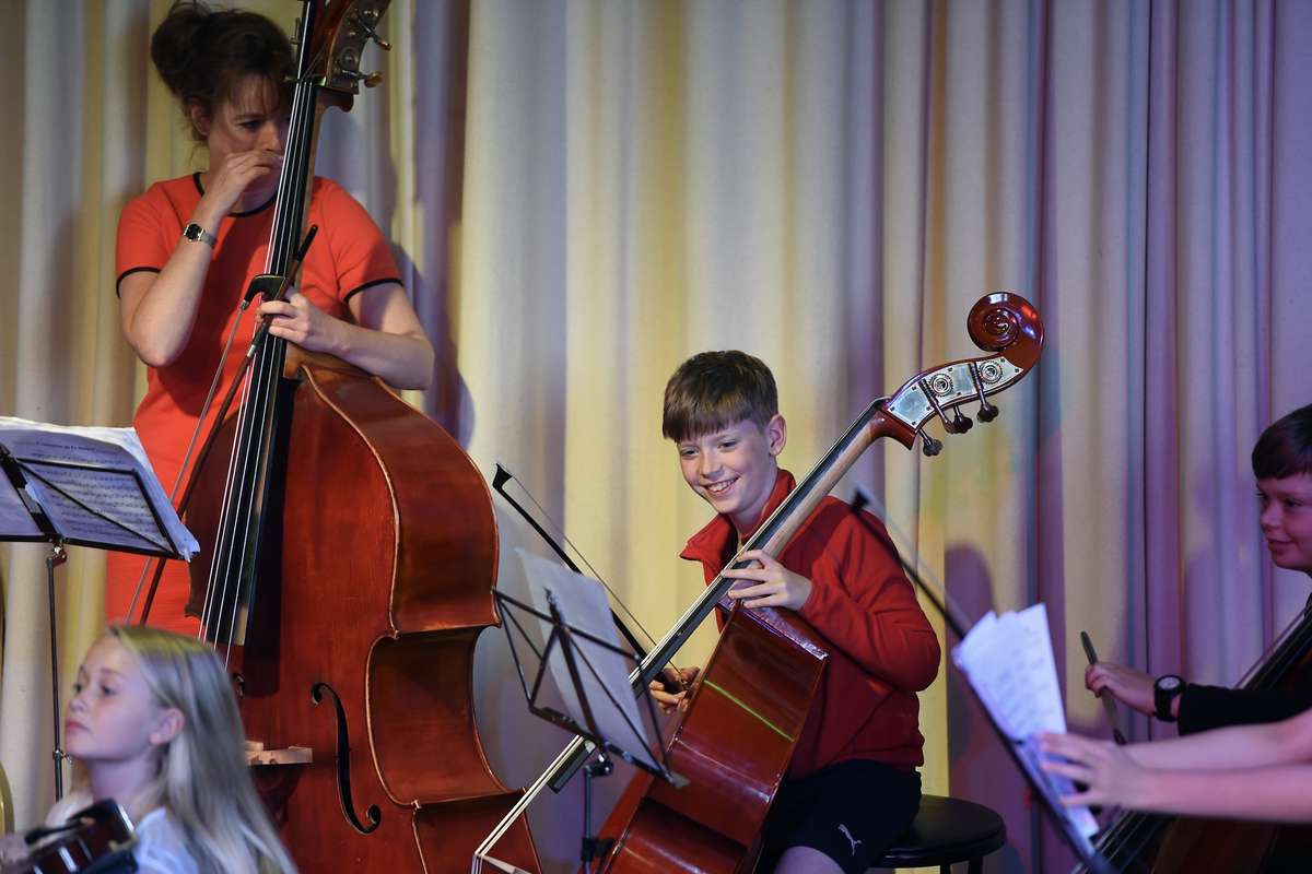 Double Bassists at Strings Training Ensemble 2018